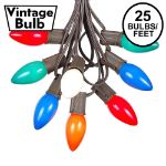 C9 25 Light String Set with Ceramic Assorted Bulbs on Brown Wire