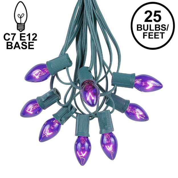 25 Light String Set with Purple Transparent C7 Bulbs on Green Wire