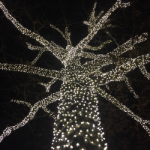50 LED Pure White LED Christmas Lights 11' Long on Brown Wire