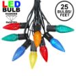 25 Light String Set with Multi Colored LED C9 Bulbs on Black Wire