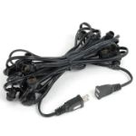 25 Clear G30 Commercial Grade Candelabra Base Light Set - Black Wire