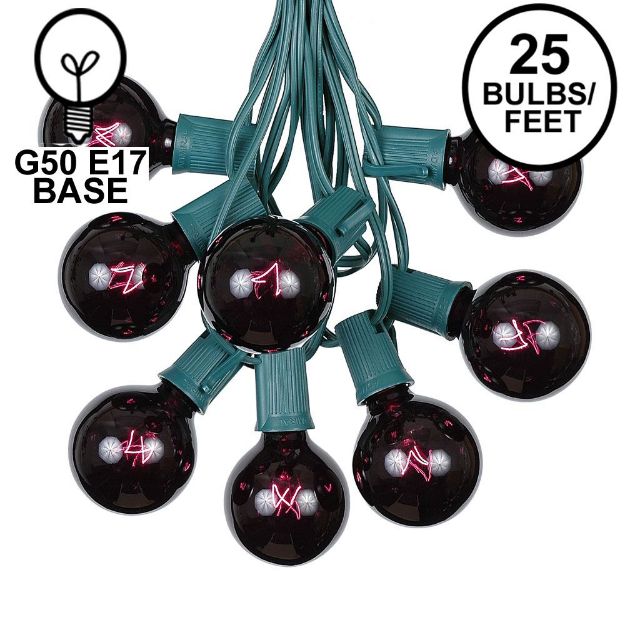 25 G50 Globe Light String Set with Black Light Bulbs (Very Dark Purple) on Green Wire