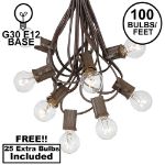 100 G30 Globe String Light Set with Clear Bulbs on Brown Wire