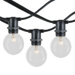 100 Clear G40 Commercial Grade Candelabra Base Light Set - Black Wire