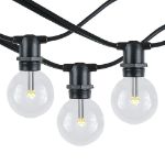 100 Warm White LED G40 Commercial Grade Candelabra Base Light Set - Black Wire