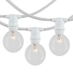 100 Clear G40 Commercial Grade Candelabra Base Light Set - White Wire