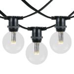 80 Warm White LED G50 Commercial Grade Intermediate Base Light Set