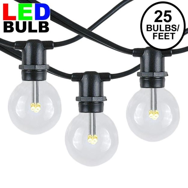 25 Warm White LED G40 Commercial Grade Candelabra Base Light Set - Black Wire