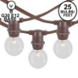 25 Clear G30 Commercial Grade Candelabra Base Light Set - Brown Wire