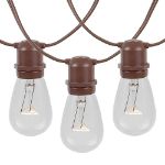 25 Clear S14 Commercial Grade Light String Set on 37.5' of Brown Wire 