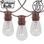 25 Clear S14 Commercial Grade Light String Set on 37.5' of Brown Wire 