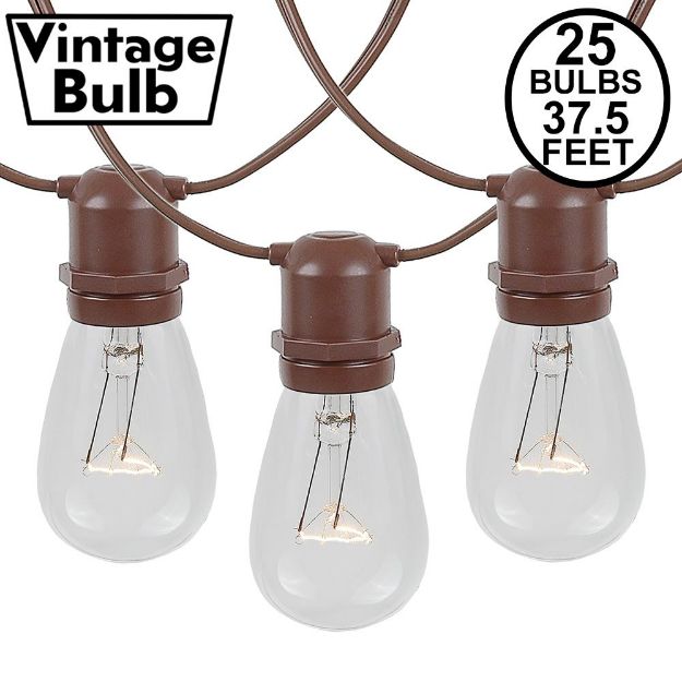 25 Clear S14 Commercial Grade Light String Set on 37.5' of Brown Wire 