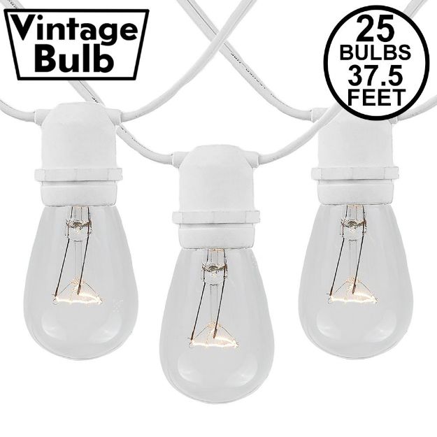 25 Clear S14 Commercial Grade Light String Set on 37.5' of White Wire 