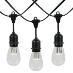 50 LED S14 Warm White Commercial Grade Suspended Light String Set on 100' of Black Wire