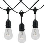 25 Clear S14 Commercial Grade Suspended Light String Set on 37.5' of Black Wire 