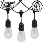 25 Clear S14 Commercial Grade Suspended Light String Set on 37.5' of Black Wire 
