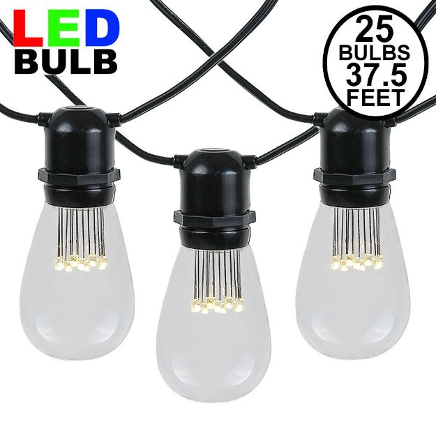 25 LED S14 Warm White Commercial Grade Light String Set on 37.5' of Black Wire 