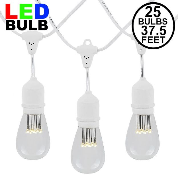 25 LED S14 Warm White Commercial Grade Suspended Light String Set on 37.5' of White Wire 