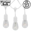 25 Clear S14 Commercial Grade Suspended Light String Set on 37.5' of White Wire 