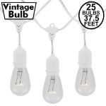 25 Clear S14 Commercial Grade Suspended Light String Set on 37.5' of White Wire 