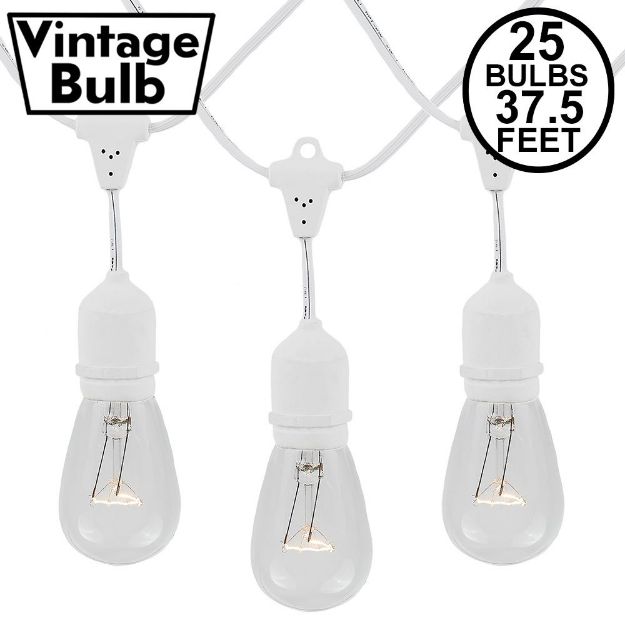 25 Clear S14 Commercial Grade Suspended Light String Set on 37.5' of White Wire 