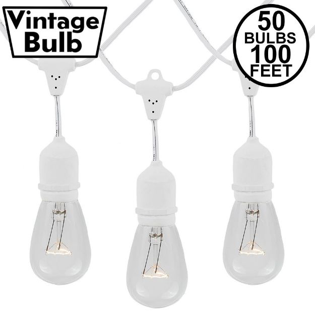 50 Clear S14 Commercial Grade Suspended Light String Set on 100' of White Wire 