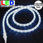 Pure White LED Custom Rope Light Kit 1/2" 2 Wire 120v