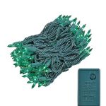 Green Multi Function Chasing Christmas Lights