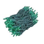 Green Multi Function Chasing Christmas Lights