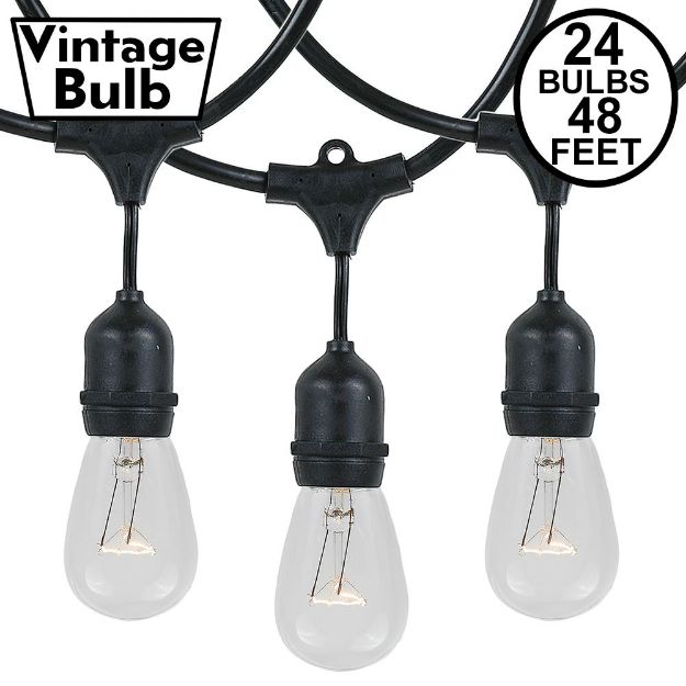 24 Clear S14 Commercial Grade Suspended Light String Set on 48' of Black Wire