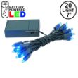 20 LED Battery Operated Lights Blue Green Wire 
