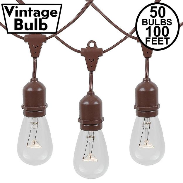 50 Clear S14 Commercial Grade Suspended Light String Set on 100' of Brown Wire 