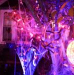 Black Light (Very Dark Purple) C9 7 Watt Replacement Bulbs 25 Pack