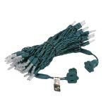 50 Light Traditional T5 Pure White LED Mini Lights Green Wire