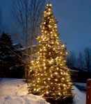 25 Light String Set with Warm White LED C7 Bulbs on Green Wire