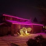 100 G30 Globe String Light Set with Purple Satin Bulbs on Brown Wire