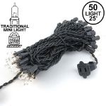 Black Wire Clear Christmas Mini Lights 50 Light 25 Feet Long
