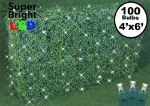 Warm White LED Net Lights 4x6 Green Wire