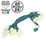 25 Warm White LED C9 Pre-Lamped String Lights Green Wire
