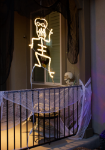 36" Spooky Skeleton LED Rope Light Motif 