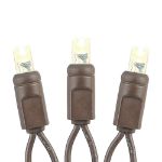50 LED Battery Operated Lights Warm White Brown Wire