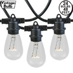 24 Clear S14 Commercial Grade Light String Set on 48' of Black Wire 