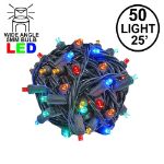 Commercial Grade Wide Angle 50 LED Multi 25' Long on Black Wire