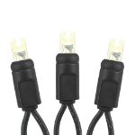 Commercial Grade Wide Angle 50 LED Warm White 25' Long on Black Wire