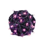 Commercial Grade Wide Angle 50 LED Pink 25' Long on Black Wire