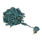 Commercial Grade Wide Angle 50 LED Amber 25' Long on Green Wire