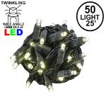 Twinkle LED Christmas Lights 50 LED Warm White 25' Black Wire