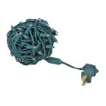 Commercial Grade Wide Angle 100 LED Warm White 50' Long on Green Wire