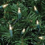 Clear Christmas Mini Lights 100 Light 50 Feet Long on Green Wire