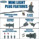 Connect 10 Clear Christmas Mini Lights, 100 Light, 50 Feet Long, Green Wire